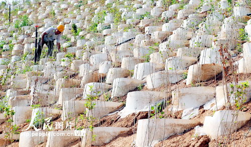 河北井陘 礦山修復治理 改善生態(tài)環(huán)境